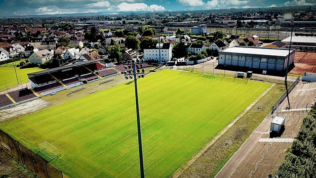 中国选手的 中国选手的